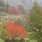 Hotel Plinia