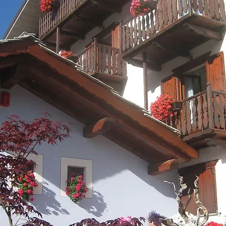 Otel Plinia