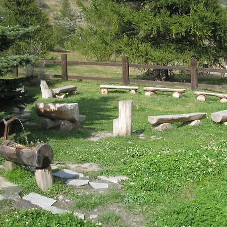 Plinia 3*