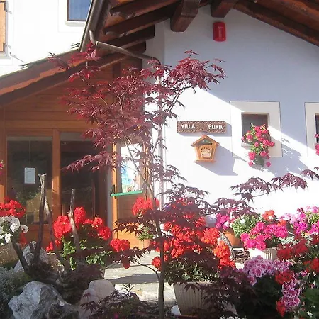 Plinia Pragelato
