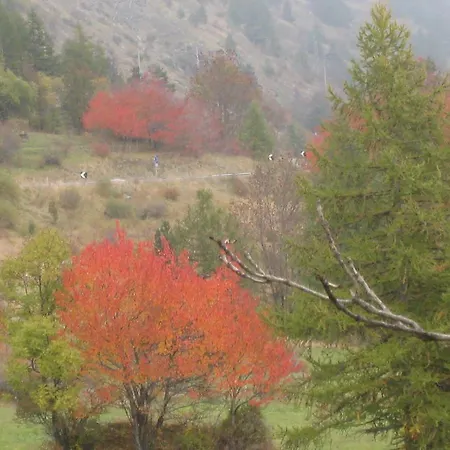 Hotel Plinia