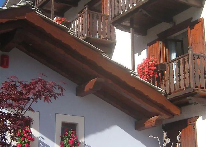 Otel Plinia