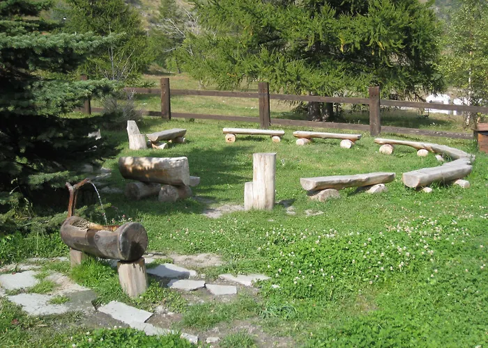 Plinia 3*