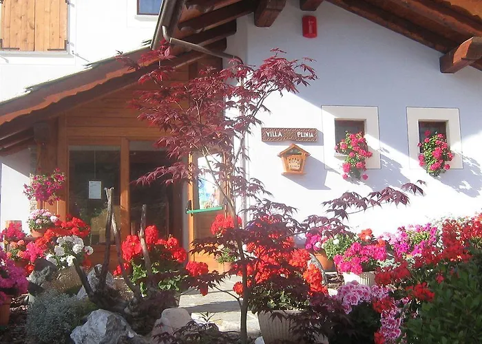 Plinia Pragelato